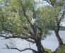 Юля на дереве на фоне Волго